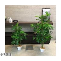 アズワン シェフレラ(フェイクグリーン 人工樹木)100cm 65-9345-86 1個（直送品）