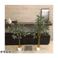 アズワン ユーカリ(フェイクグリーン 人工樹木)115cm 65-9345-88 1個（直送品）