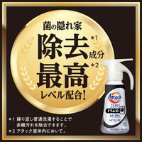 【旧品】アタックゼロ（Attack ZERO） ドラム式専用　本体 大サイズ　本体　580g 1個 衣料用洗剤 花王