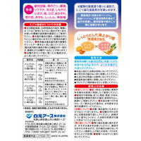 いい湯旅立ち 粉末薬用入浴剤 のんびりまったり にごり露天湯の宿 1箱（12包入）白元アース