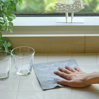 吸水ふきん e.スポンジワイプ 天然素材100％ セルロース 北欧 ベングト＆ロッタ ねこ 1枚 イーオクト