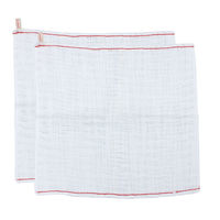 ビストロ先生 ふっくら綿の吸水ふきん 33×33cm 1パック（2枚入） サンベルム