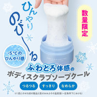 TBC ボディスクラブソープ クール クリアサボン 300g