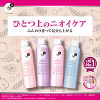 エージーデオ２４　デオドラントスプレー（フローラルブーケ）Ｌ　142g（医薬部外品） 2個セット