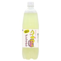 ハイサワー グレープフルーツ 博水社 1000ml ペット 1箱（15本）