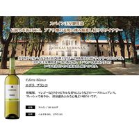 スペイン　ボデガス・ビルバイナス エデラ ブランコ 白ワイン　辛口　750ml 1本　日本酒類販売