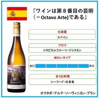スペイン オクタボ・アルテ・ソーヴィニヨン・ブラン 白ワイン　辛口 750ml 1本　ユニオンリカーズ