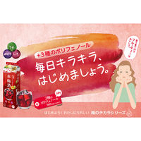 赤梅酒　3種の贅沢ポリフェノール　1.8L　1本　サッポロ