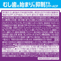 モンデリーズ　リカルデントグレープミントガムボトルR　グレープミント味　1個　ガム