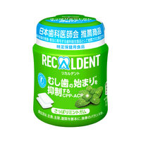 モンデリーズ リカルデントさっぱりミントガム（粒）ボトルR  6個