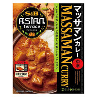 エスビー食品 アジアンテラス マッサマンカレー 中辛 1セット（2個）レンジ対応 レトルト