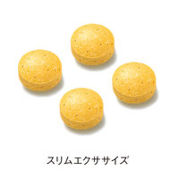 ORBIS（オルビス） スリムエクササイズ 30日分 1袋（120粒入） サプリメント