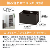 JEJアステージ カロキューブレギュラー ブラウン 4528302190015 1セット(1個×5)