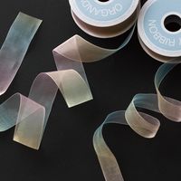 ヘッズ レインボーオーガンジーリボン-2 RAB-R2 1巻