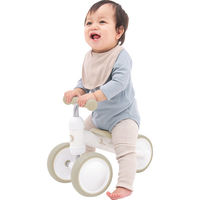アイデス DーBike mini ワイド 24-0310-047 1箱（直送品）