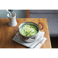 ワイ・ヨット ビタクラフト ディア 両手鍋(16cm) 24-0317-034 1箱（直送品）