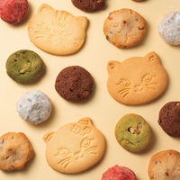 DADACA 【2個セット】こねこのこねこねクッキー缶 24-0437-048 1セット(2個入)（直送品）