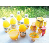 伊藤農園 【2箱セット】伊藤農園 100%ピュアジュース&ジュレセット 24-0479-042 1セット(2箱入)（直送品）