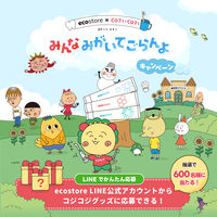 歯磨き粉 エコストア ハミガキ トゥースペースト＜コンプリートケア＞ 100g マッシュビューティーラボ