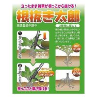 大進 抜き太郎 NO.251 1本