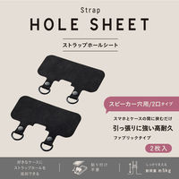 エレコム ストラップホールシート/2口タイプ/2枚入り/ブラック P-STHD2BKN 1個