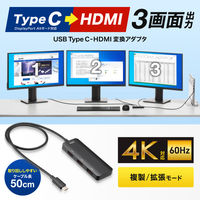 サンワサプライ USB Type C-HDMI変換アダプタ(3ポート/4K対応) AD-ALCMST3HD2 1個（直送品）