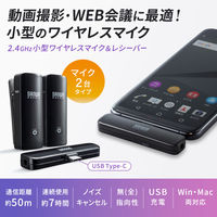 サンワサプライ ワイヤレスマイク(マイク2台) MM-MCW02 1個（直送品）