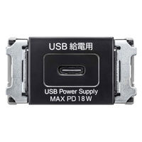 サンワサプライ 埋込コンセント Type-Cx1 PD18W対応 TAP-KJC1BK 1個（直送品）