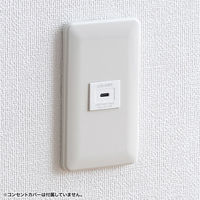 サンワサプライ 埋込コンセント Type-Cx1 PD18W対応 TAP-KJC1W 1個