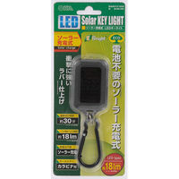 オーム電機 E-Bright LED懐中電灯 IPX4 18lm 30分 ソー MS-03K 1セット(3個)