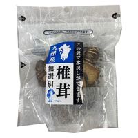 九州産 無選別椎茸 40g 1セット（2個）王将椎茸 袋のまま水戻し可能