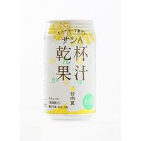 無糖 チューハイ 乾杯果汁 日向夏 酎ハイ 350ml 1セット（6本）