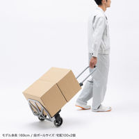 サンワサプライ 折りたたみキャリー(2輪台車) CART-FA5GY 1個