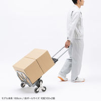 サンワサプライ 折りたたみキャリー(3輪階段用台車) CART-FA6GY 1個（直送品）