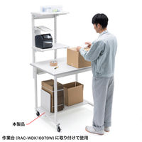 サンワサプライ RAC-WDK10070W専用 下棚板 幅784×奥行300×高さ25mm RAC-WDKNT2 1枚（直送品）