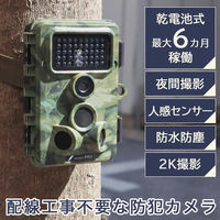 サンコー 置くだけ簡単「トレイル防犯カメラ」 AUTMTSHNA 1台