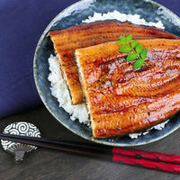 薩摩川内鰻 うなぎの蒲焼 ギフト2尾セット vege212 1ケース（直送品）