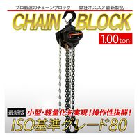 ベスト・アンサー チェーンブロック VD 1トン lh-vd100-10p 1セット(10台入)（直送品）