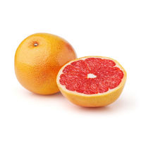 ベジテック グレープフルーツ(R) 40玉 vege210 1ケース（直送品）