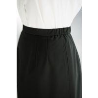 セロリー Aラインスカート 12350-23 1枚（直送品）