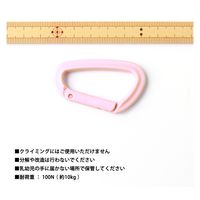 日本紐釦貿易 日本紐釦 プラスチックカラビナ モーブピンク 1個 IN55-811 1セット(1袋×10セット)（直送品）