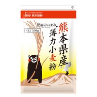 熊本製粉 熊本県産薄力小麦粉 肥後のいずみ 500g 1セット（1個×3）