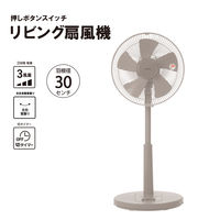 YAMAZEN 30cm リビング扇風機 押しボタンスイッチ 風量3段階 切タイマー グレージュ YLT-AG306(GR) 1台