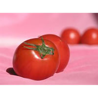 くだものの山長 春のフルーツとまと 1kg(16~22玉) 4582626933031 1箱（直送品）