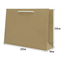 マツシロ さすてな紙袋 ペーパーバック 「びーる」A4ヨコ 10枚セット 62SUA4B 1包（直送品）