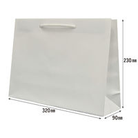 マツシロ さすてな紙袋 ペーパーバック 「せっかい」A4ヨコ 10枚セット 62SUA4L 1包（直送品）