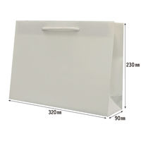 マツシロ さすてな紙袋 ペーパーバック 「さとうきび」A4ヨコ 10枚セット 62SUA4S 1包（直送品）