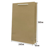 マツシロ さすてな紙袋 ペーパーバック 「びーる」小タテ 10枚セット 62SUSB 1包（直送品）