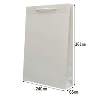 マツシロ さすてな紙袋 ペーパーバック 「にんじん」小タテ 10枚セット 62SUSN 1包（直送品）