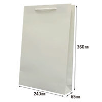 マツシロ さすてな紙袋 ペーパーバック 「さとうきび」小タテ 10枚セット 62SUSS 1包（直送品）